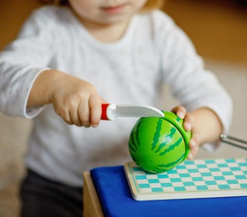 Croydon Central The Grove Tuckshop Cubby House