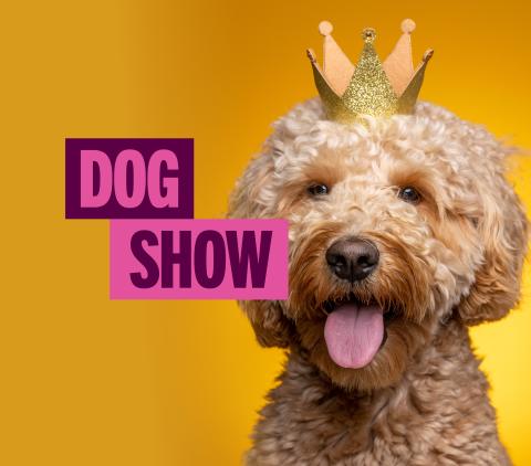 Croydon Central dog show easter market day