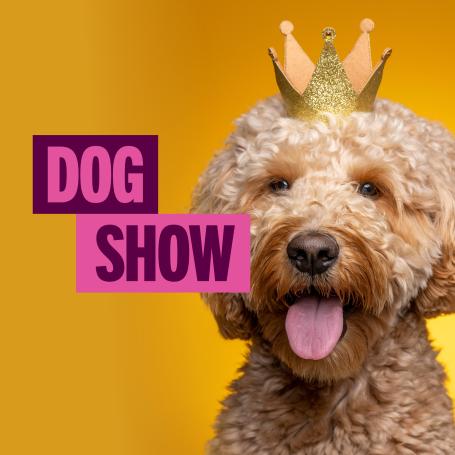 Croydon Central dog show easter market day