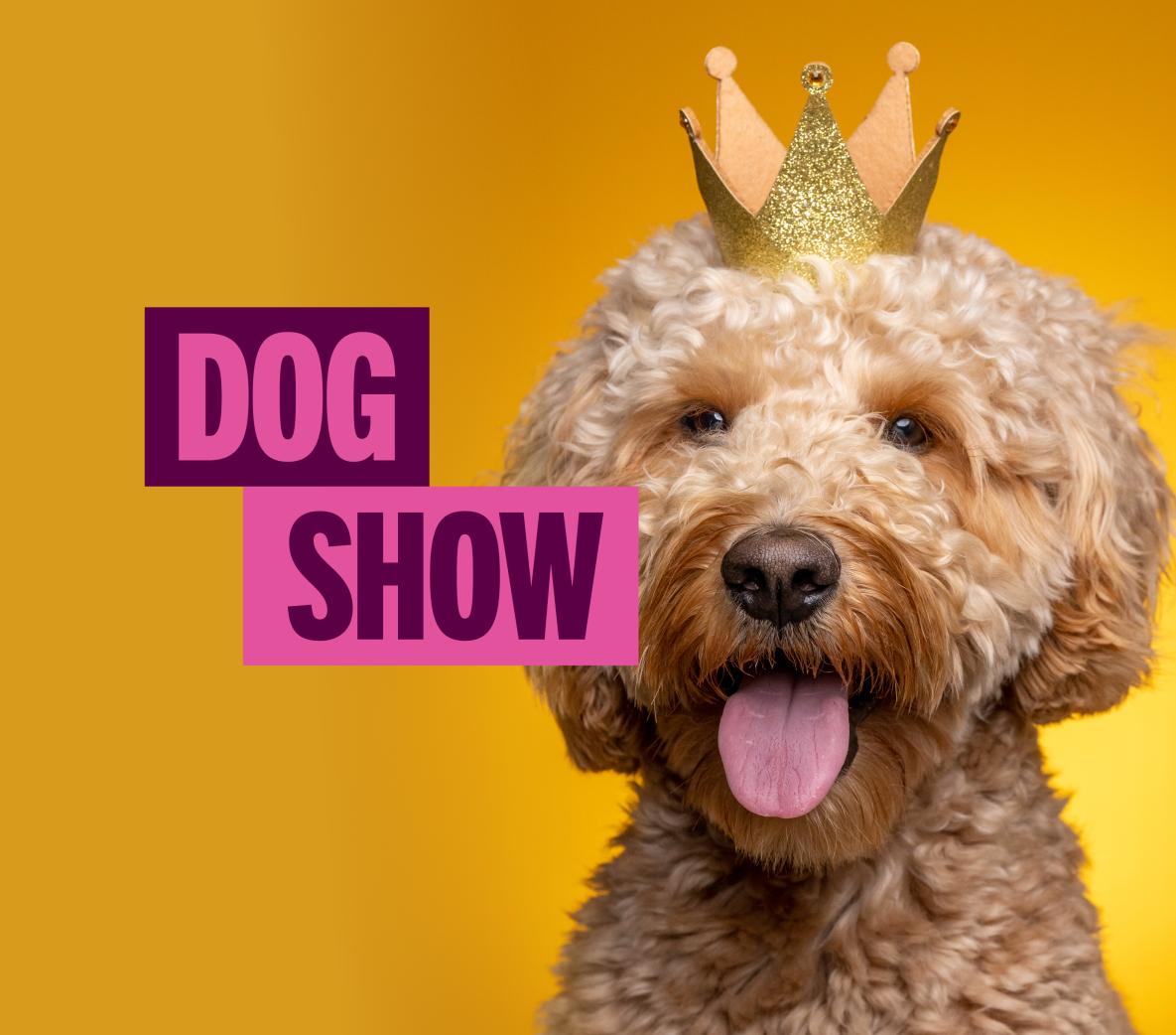 Croydon Central dog show easter market day