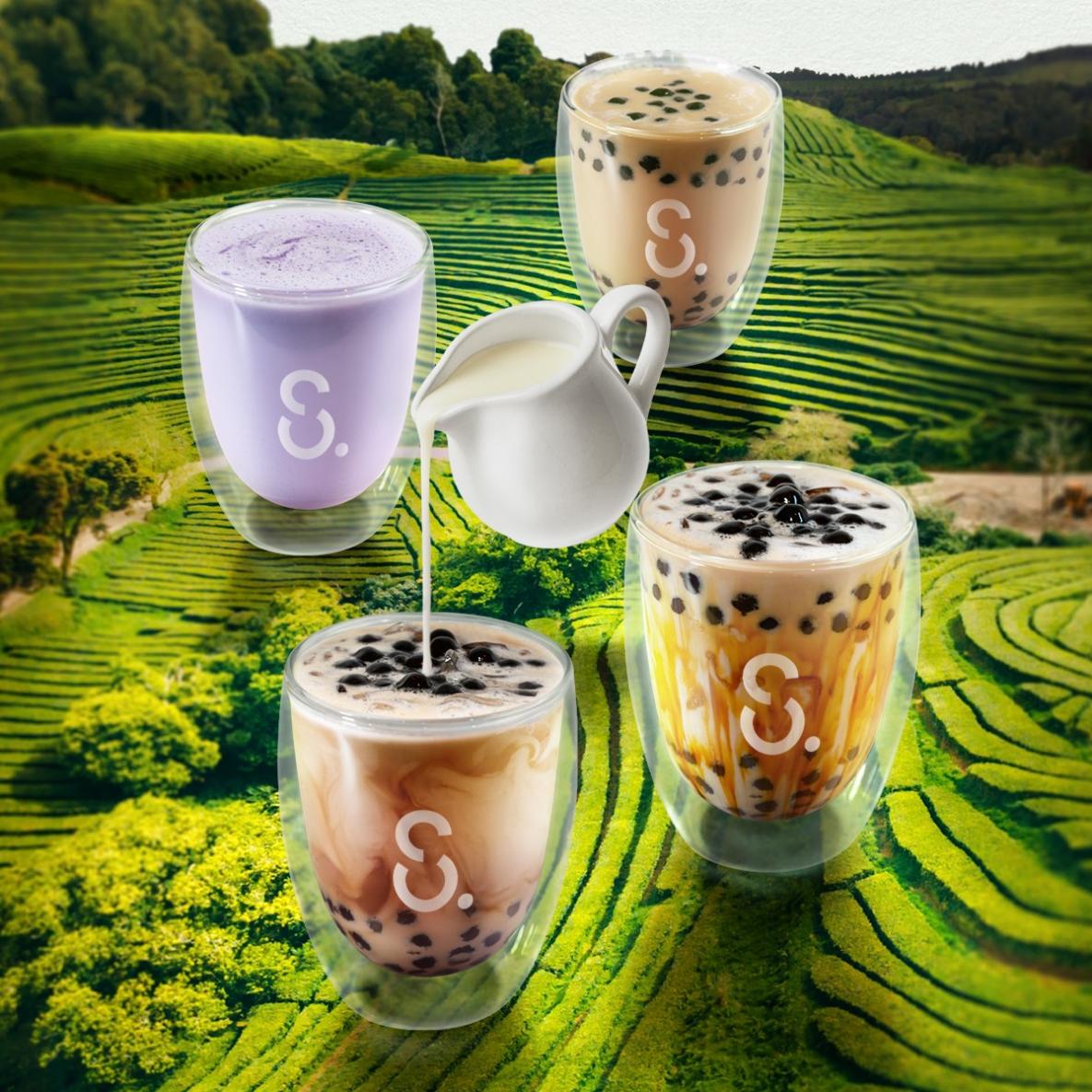 sharetea fresh milk drinks